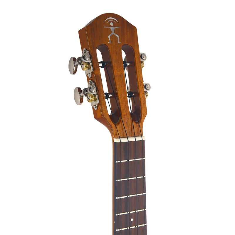 aNueNue Hawaiian Koa Concert Electric Ukulele AKK2E