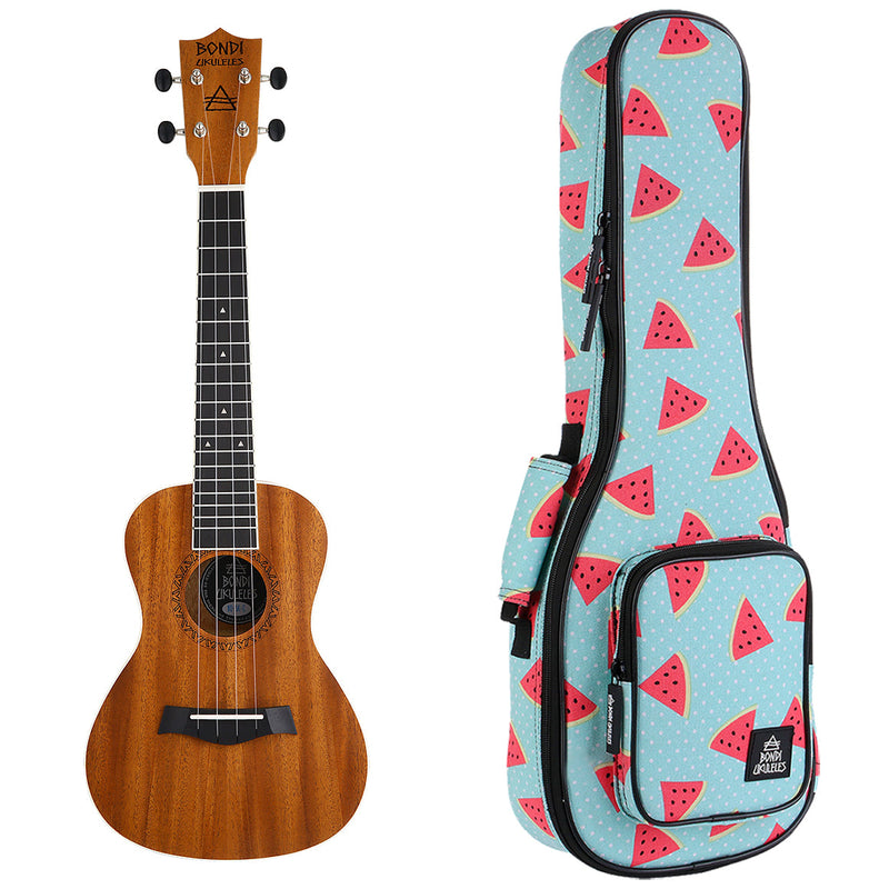 Ultimate Ukulele Starter Bundle - Concert Size