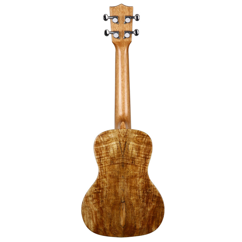 Bondi Spalted Maple Concert Ukulele Left Handed